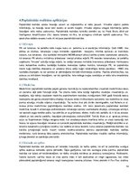 Referāts 'Paplašinātā realitāte', 14.