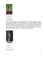 Referāts 'Paplašinātā realitāte', 19.