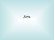 Prezentācija 'Zivis', 1.