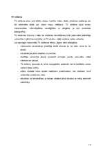 Referāts 'Reklāmas ietekme uz patērētāju ', 13.