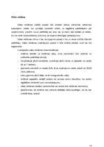 Referāts 'Reklāmas ietekme uz patērētāju ', 14.