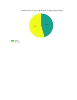 Referāts 'Narkotikas un psiholoģija', 4.