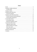 Prakses atskaite 'Mēneša prakses atskaite grāmatvedībā', 3.