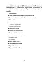 Prakses atskaite 'Mēneša prakses atskaite grāmatvedībā', 13.