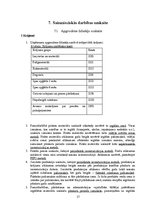 Prakses atskaite 'Mēneša prakses atskaite grāmatvedībā', 17.