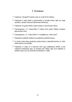 Prakses atskaite 'Mēneša prakses atskaite grāmatvedībā', 23.