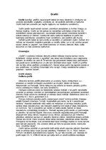 Konspekts 'Graffiti', 8.