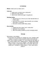 Konspekts 'Ziedi mūsu dārzā', 8.