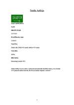 Referāts 'Arābijas pussala', 4.