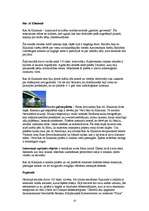 Referāts 'Arābijas pussala', 10.