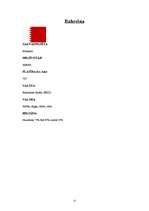 Referāts 'Arābijas pussala', 12.