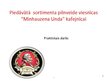 Prezentācija 'Piedāvātā sortimenta pilnveide viesnīcas "Minhauzena Unda" kafejnīcai', 1.