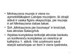 Prezentācija 'Piedāvātā sortimenta pilnveide viesnīcas "Minhauzena Unda" kafejnīcai', 4.