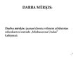 Prezentācija 'Piedāvātā sortimenta pilnveide viesnīcas "Minhauzena Unda" kafejnīcai', 8.