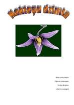 Konspekts 'Nakteņu dzimta', 1.