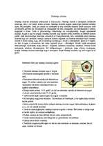 Konspekts 'Nakteņu dzimta', 4.