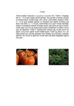 Konspekts 'Nakteņu dzimta', 6.