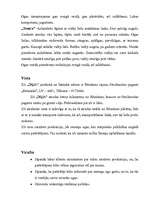 Referāts 'Mārketinga plāns', 4.