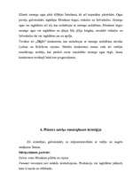 Referāts 'Mārketinga plāns', 7.