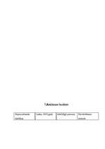 Referāts 'Mārketinga plāns', 11.