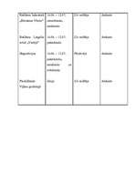 Referāts 'Mārketinga plāns', 12.