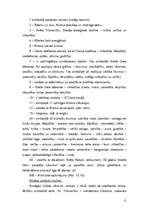 Konspekts 'L.Mušinska grāmatas "Baznīca un liturģija" konspekts', 11.