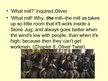Prezentācija 'Oliver Twist by Charles Dickens', 12.