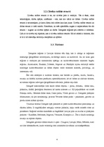 Referāts 'Zemgales reģions', 4.