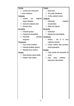 Referāts 'Zemgales reģions', 15.