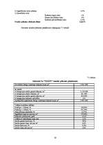 Biznesa plāns 'Apvedceļa būvniecība', 39.