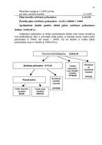 Referāts 'Uzņēmuma izmaksas', 31.
