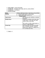 Konspekts 'Rotaļas pirmsskolā sociālo prasmju attīstībai', 3.