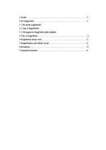 Referāts 'Fingerbords', 2.
