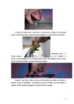 Referāts 'Fingerbords', 8.