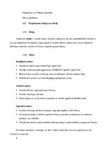 Biznesa plāns 'Biznesa plāns "Mākslas studija"', 6.