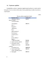 Biznesa plāns 'Biznesa plāns "Mākslas studija"', 8.