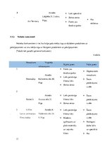 Biznesa plāns 'Biznesa plāns "Mākslas studija"', 13.