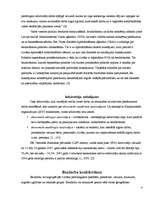 Referāts 'Bezdarba situācijas raksturojums', 4.