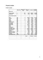 Biznesa plāns 'Jauniešu centra izveide', 13.