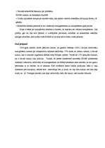 Konspekts 'Korupcijas novēršanas un apkarošanas biroja struktūra', 5.