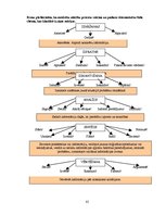 Diplomdarbs 'Motivācijas attīstības veicināšana latviešu literatūras apguvē, izmantojot konte', 61.