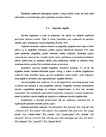 Prakses atskaite 'Restorāna X prakses atskaite', 8.