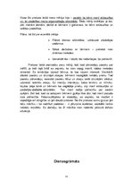 Prakses atskaite 'Mazbērnu prakse', 15.