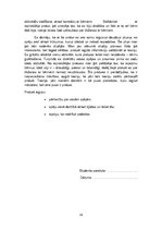 Prakses atskaite 'Mazbērnu prakse', 19.