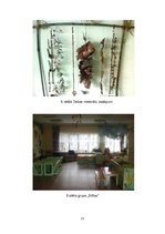 Prakses atskaite 'Mazbērnu prakse', 23.