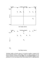 Referāts 'Uzņēmuma "Dzintars" SVID analīze', 7.