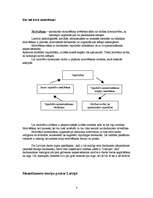 Referāts 'Motivēšanas iespējas Latvijā', 4.