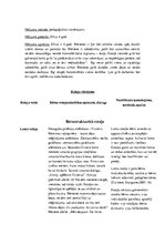 Konspekts 'Bērna rotaļu vērojums', 2.