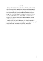 Referāts 'Viduslaiku pilsētas Francijā', 3.