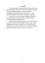 Referāts 'Интернет и телевидение', 3.